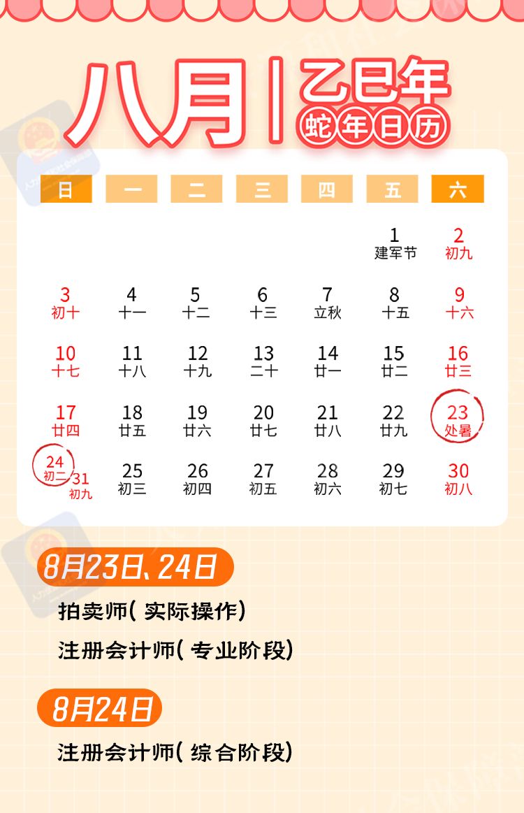 央视新闻6.png